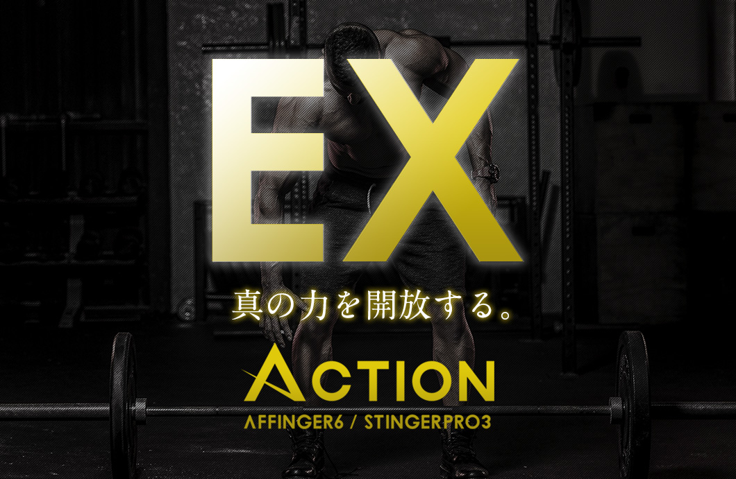 AFFINGER6EX（アップグレード）版 - 【※テスト※】STINGER STORE